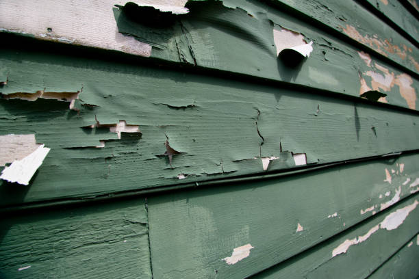 Best Property Management Cleanouts  in Douglas, MI