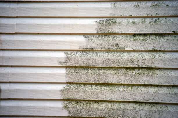 Best Shed Removal  in Douglas, MI
