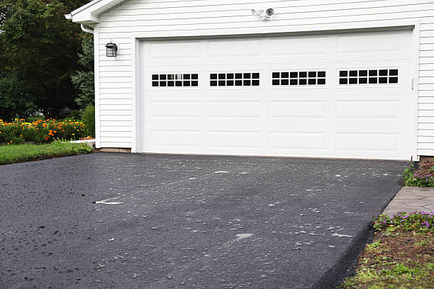 Best Dumpster Rental Services  in Douglas, MI
